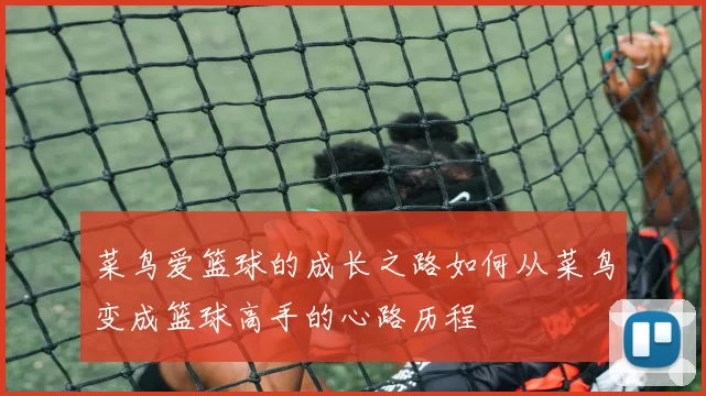 菜鸟爱篮球的成长之路如何从菜鸟变成篮球高手的心路历程