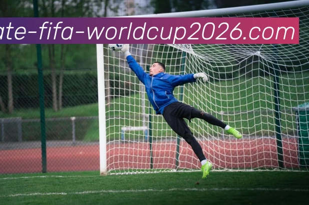 完整赛程服务体系